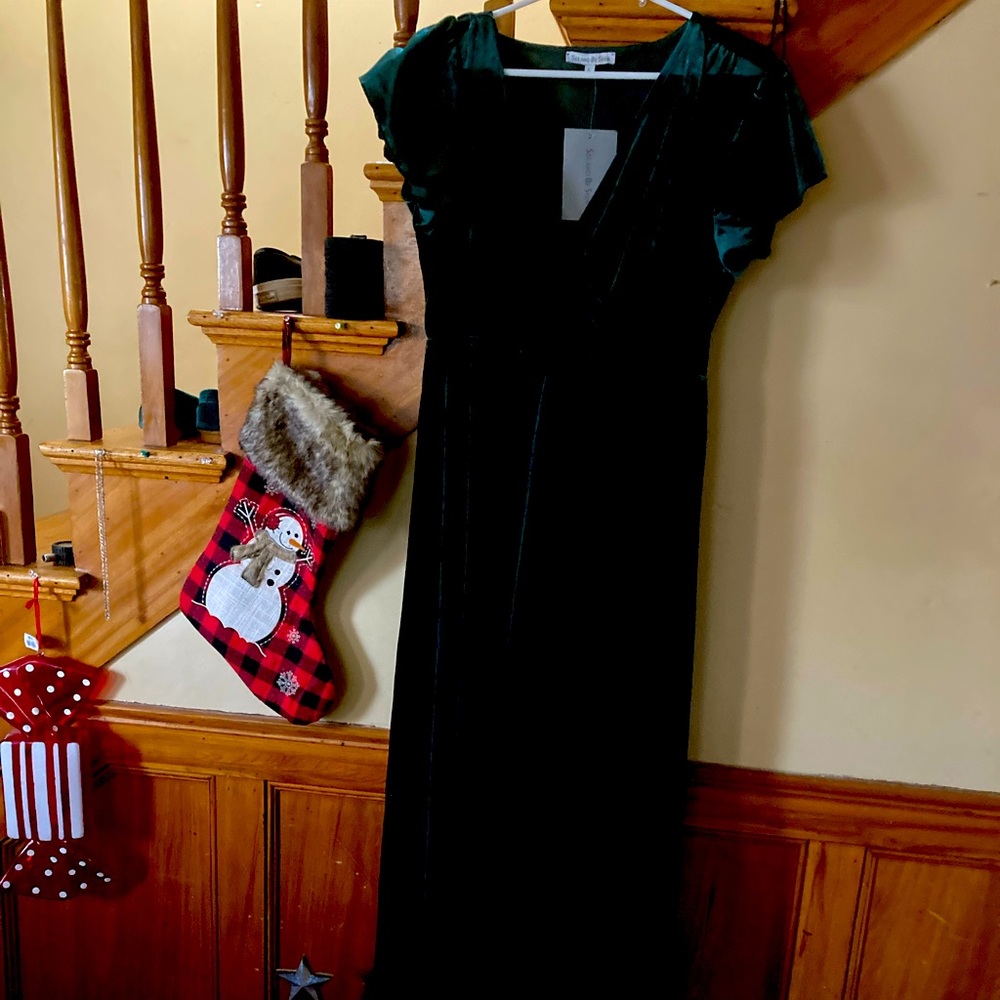 Emerald velvet maxi dress , very very comfortable, never worn brand new